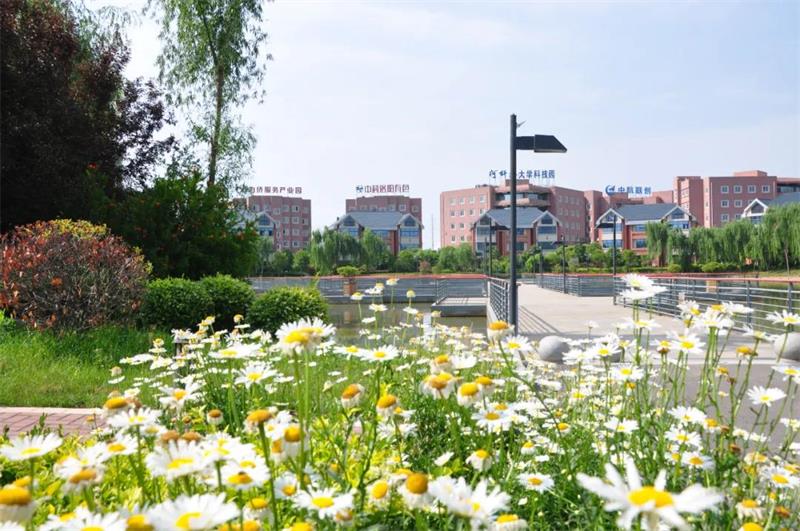 1592555128434947.jpg 1.jpg